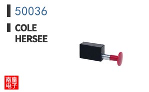 50036